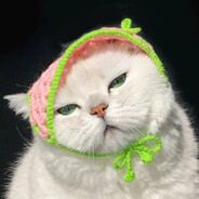 烂尾猛攻之神流墨遥