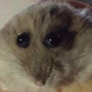 Mafty