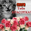 Продаю аккаунт