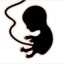 THEABORTEDFETUS