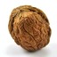 Lil Walnut