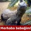 AMK KERTENKELESİ