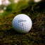Tiger Woods