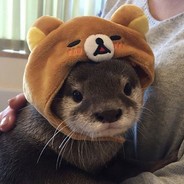 Otter