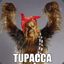 Tupacca