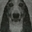 ¨