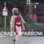 CRACK SPARROW