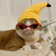 华中第一干拉王