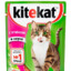 kitek@t