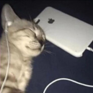 Ft