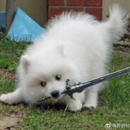 替身使者金坷垃