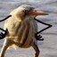 Aptechka