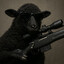 blacksheep