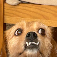 suhhhhhhhhhhh///////////////////