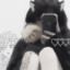 Dostoevsqq