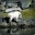 rivergoat