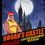 Hogans castle