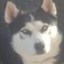 Odin