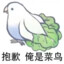 iirom