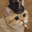 жопик