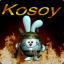 [AKM] KoSoy