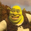 shrek_gaming