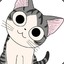 猫猫猫