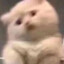 很哇塞