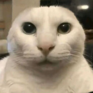 OLA