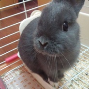 CSGO两年半练习生 擅长摸 顶 干拉 老六