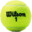 Lead Tennis Ball