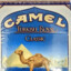 Camel Turkish Royal