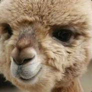 就算队友全挂了拿着补刀斧我也要冲上去刚