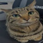 Thepy