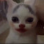 Pepe