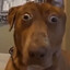 Deformonator's avatar