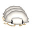 isopod gaming