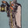 IX - The Hermit's Avatar