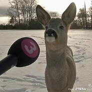 distressed - steam id 76561198783929016