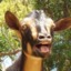 Goatayyy