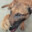 eason.zeng