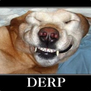 exe_Derp