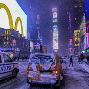 东京复合盐小猫咪