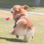 廾匸