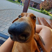 𝙠𝙖𝙧𝙡⁧⁧'神の怒