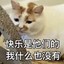 迪迦
