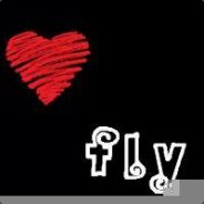 fly