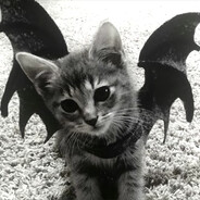 虽然是敌人的你