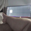 Anissa