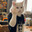 Meow mix Meow mix please deliver